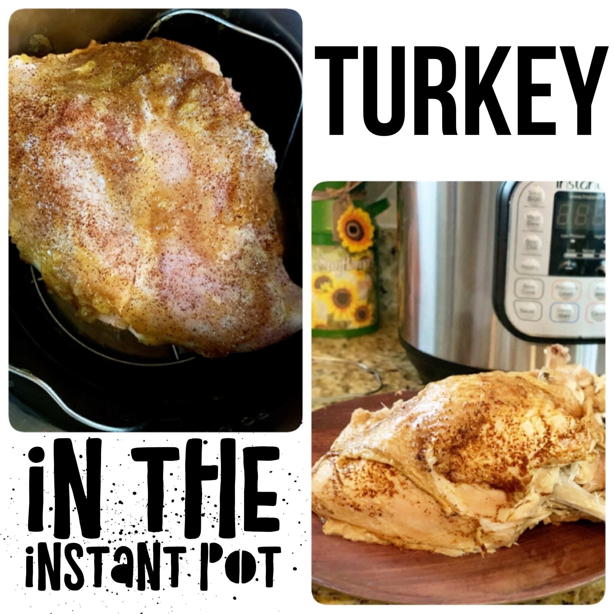 Turkey Breast in the Instant Pot - Chase Laughter