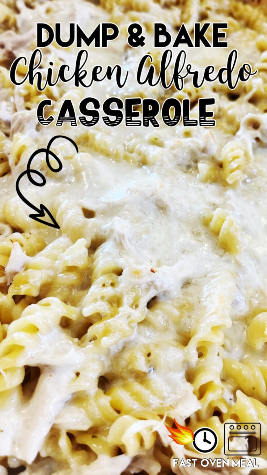 Chicken Alfredo Casserole - Chase Laughter